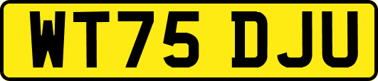 WT75DJU