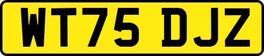 WT75DJZ