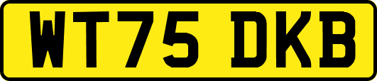 WT75DKB