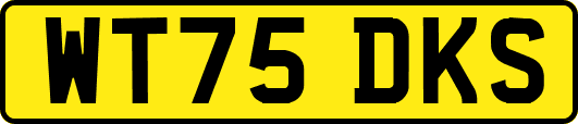 WT75DKS