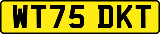 WT75DKT