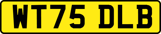 WT75DLB