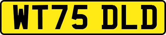 WT75DLD