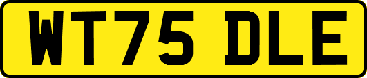 WT75DLE