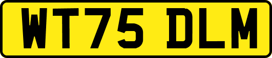 WT75DLM