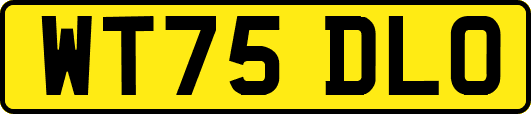 WT75DLO