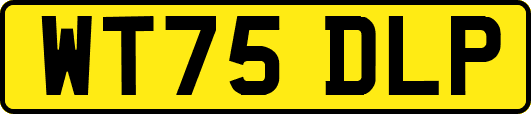 WT75DLP