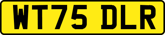 WT75DLR