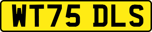 WT75DLS