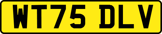 WT75DLV
