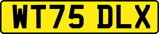 WT75DLX