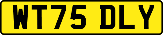 WT75DLY