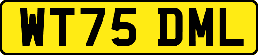 WT75DML