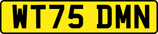 WT75DMN