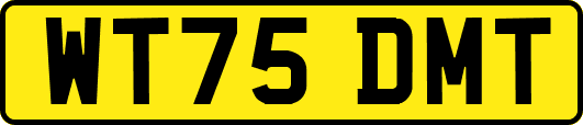 WT75DMT