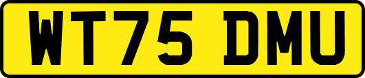 WT75DMU