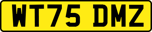 WT75DMZ