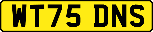 WT75DNS
