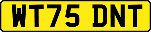 WT75DNT
