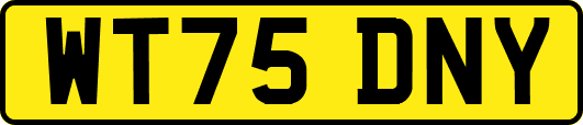 WT75DNY