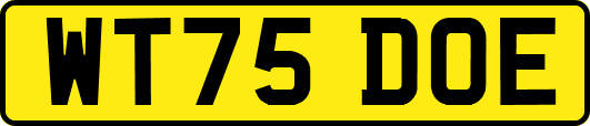 WT75DOE