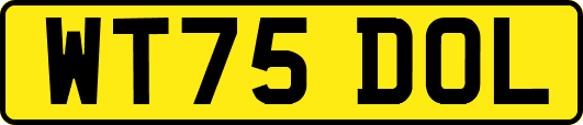 WT75DOL