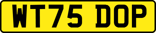 WT75DOP