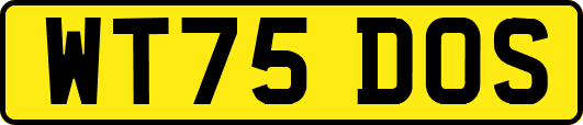 WT75DOS