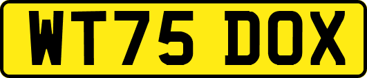 WT75DOX