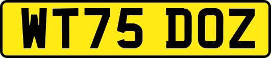 WT75DOZ