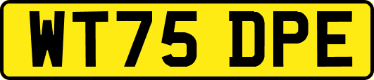 WT75DPE