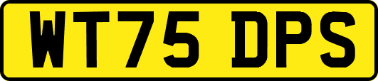 WT75DPS