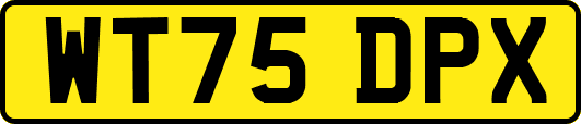 WT75DPX