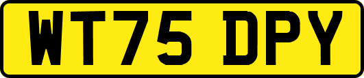 WT75DPY