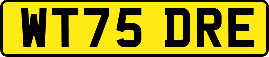 WT75DRE