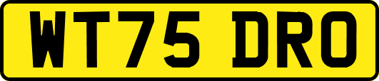 WT75DRO