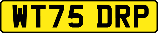 WT75DRP