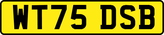 WT75DSB