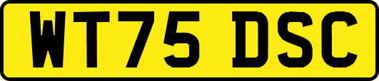 WT75DSC