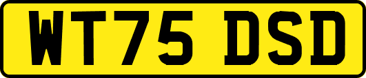 WT75DSD