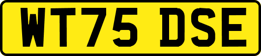 WT75DSE