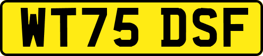 WT75DSF