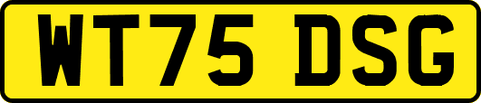 WT75DSG