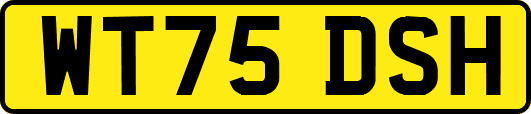 WT75DSH
