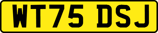 WT75DSJ