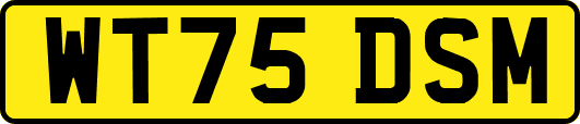 WT75DSM