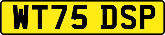 WT75DSP