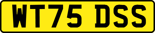 WT75DSS