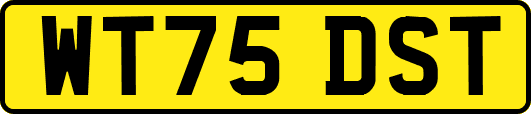 WT75DST