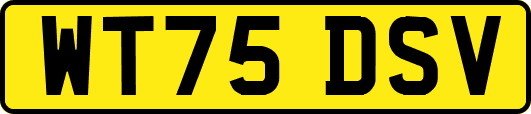 WT75DSV